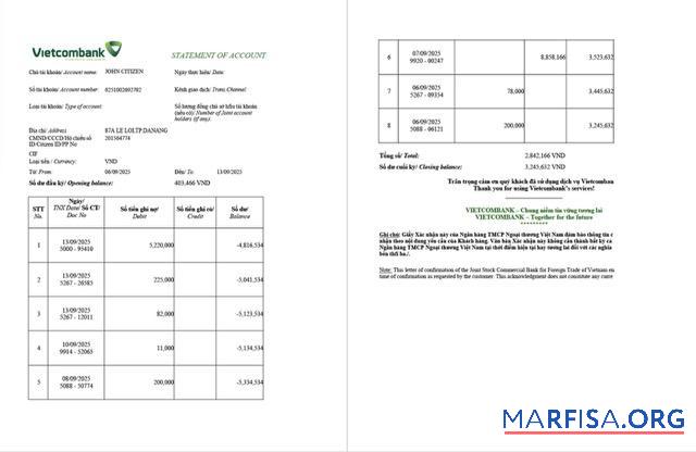 Realistic Vietnam Vietcombank statement of account word 2 pages template